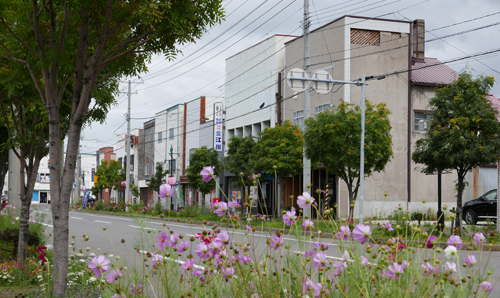 岩内薄田遊郭 写真 1