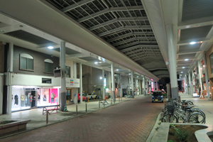帯広町遊郭の記録写真