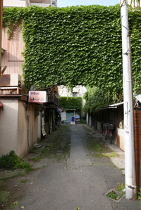 藤沢町遊郭の記録写真