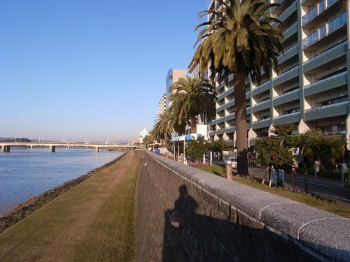 宮崎市吾妻新地 写真 1