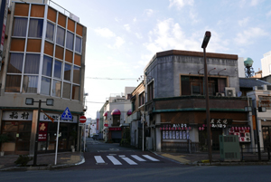 沼津市緑新地遊郭の記録写真