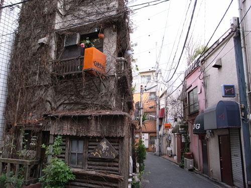 新宿遊郭 写真 1