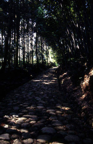 島田町遊郭 写真 3