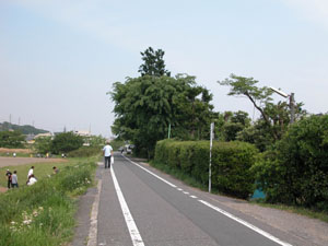 八王子町田町遊郭 写真 12