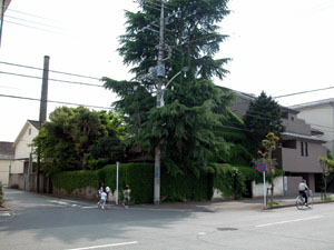 八王子町田町遊郭 写真 6